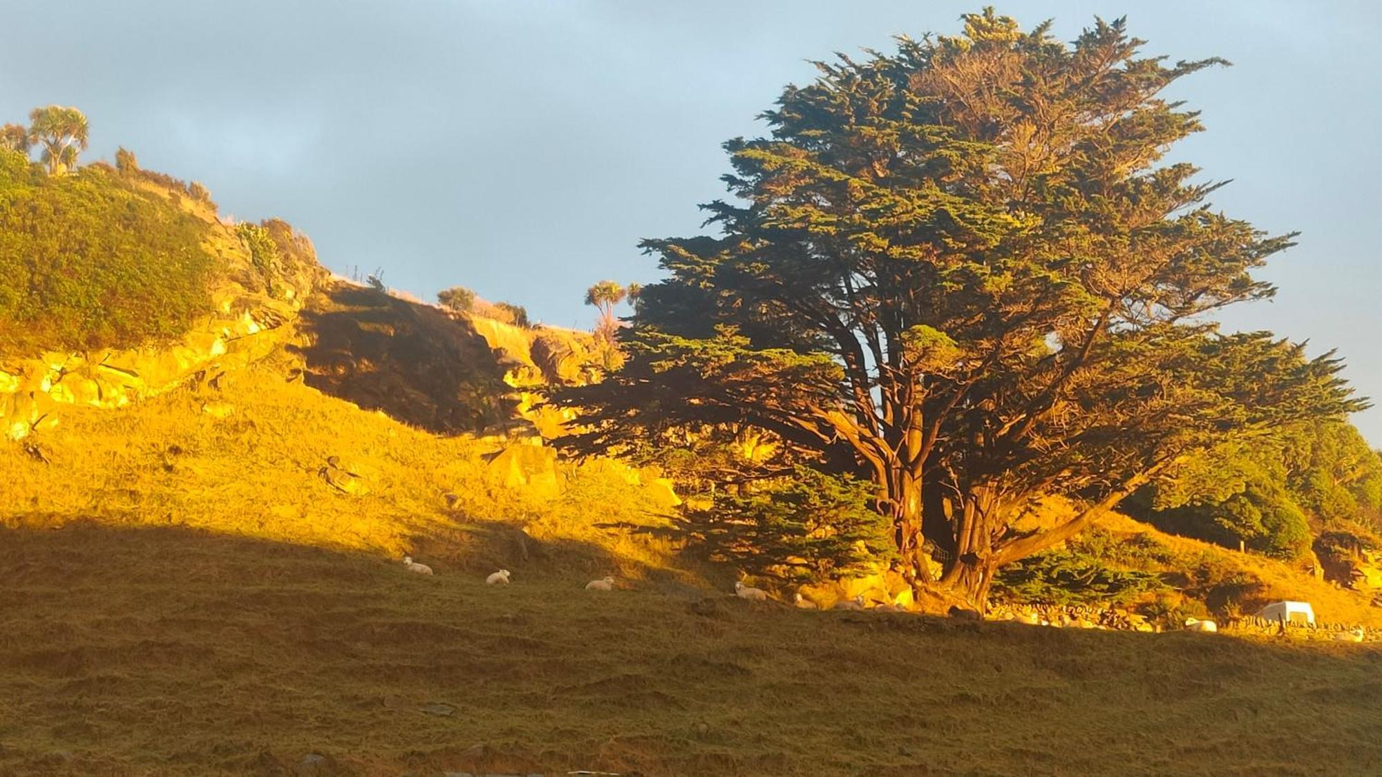 Appartamento Pukemara Retreat Sandymount Esterno foto