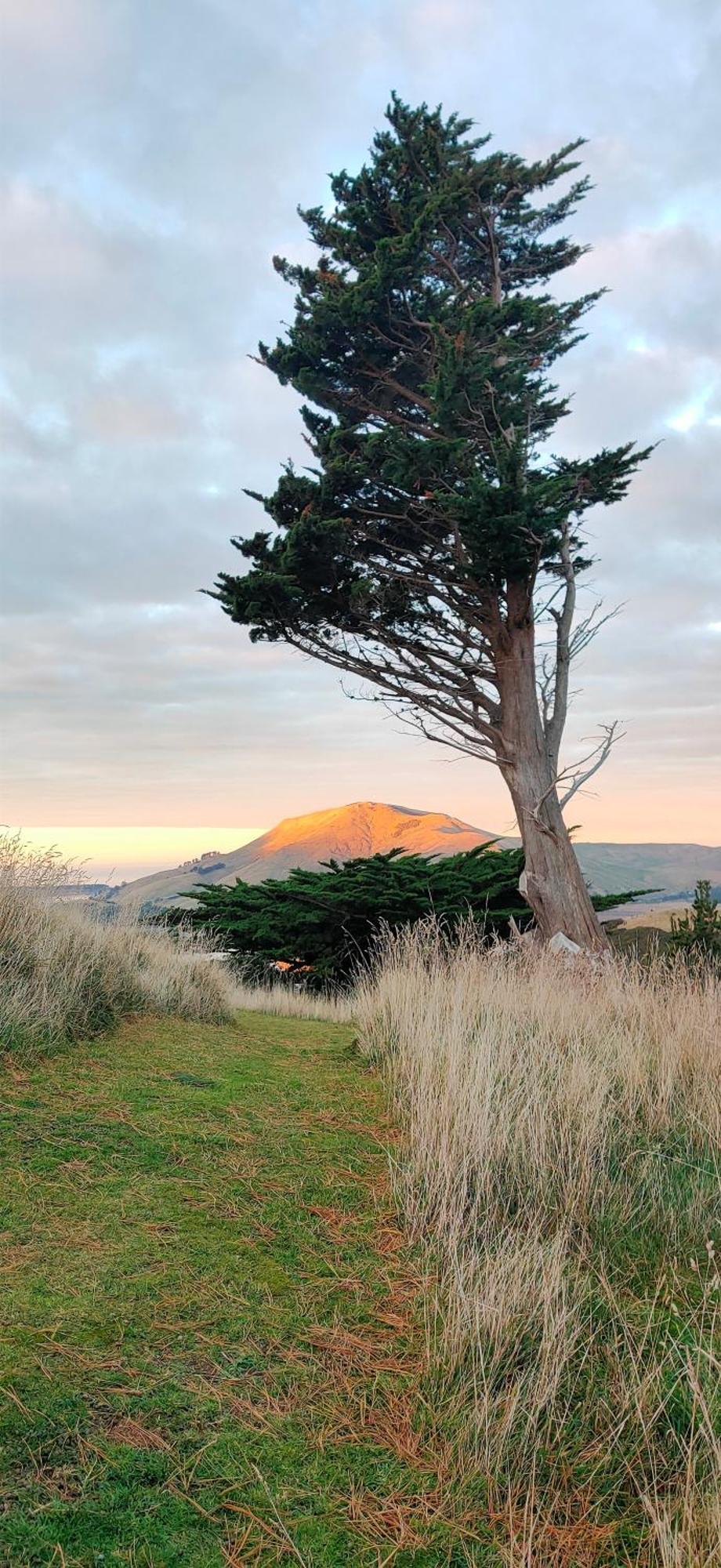 Appartamento Pukemara Retreat Sandymount Esterno foto