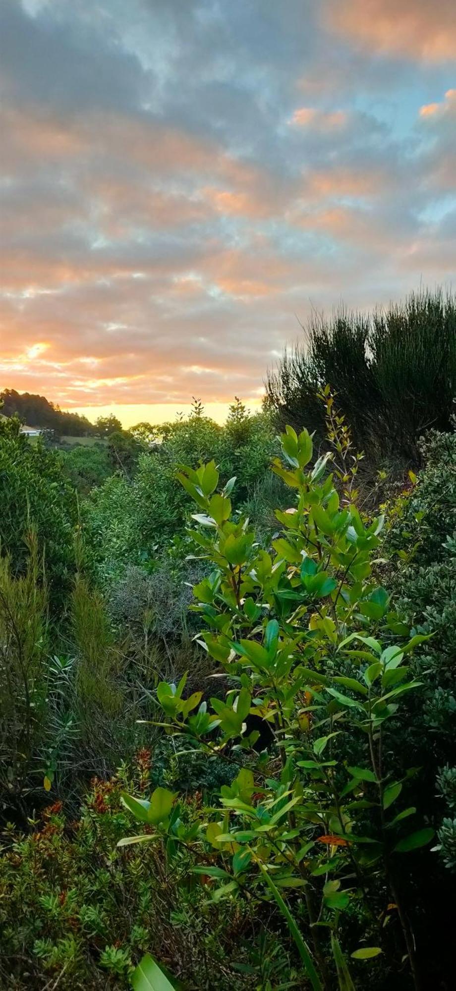 Appartamento Pukemara Retreat Sandymount Esterno foto