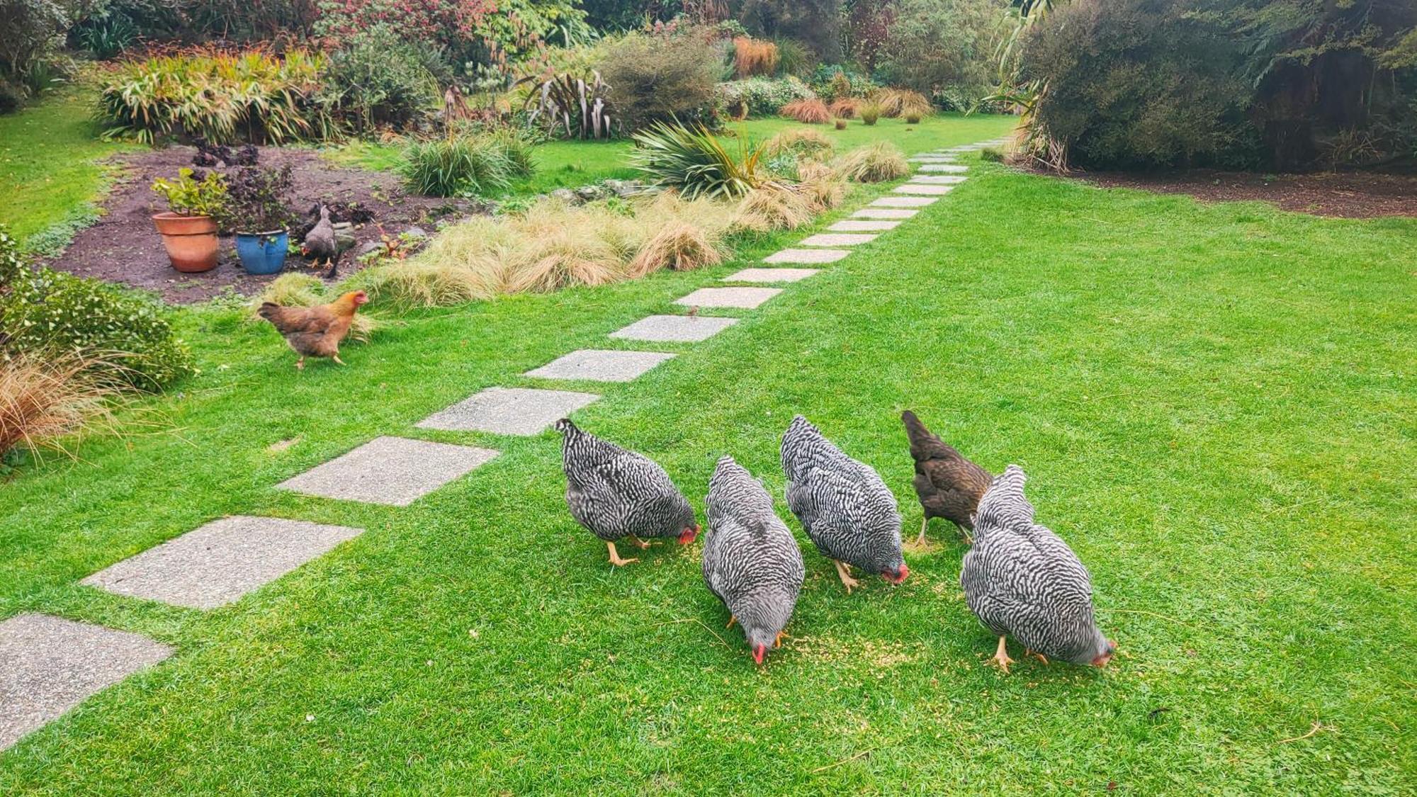 Appartamento Pukemara Retreat Sandymount Esterno foto
